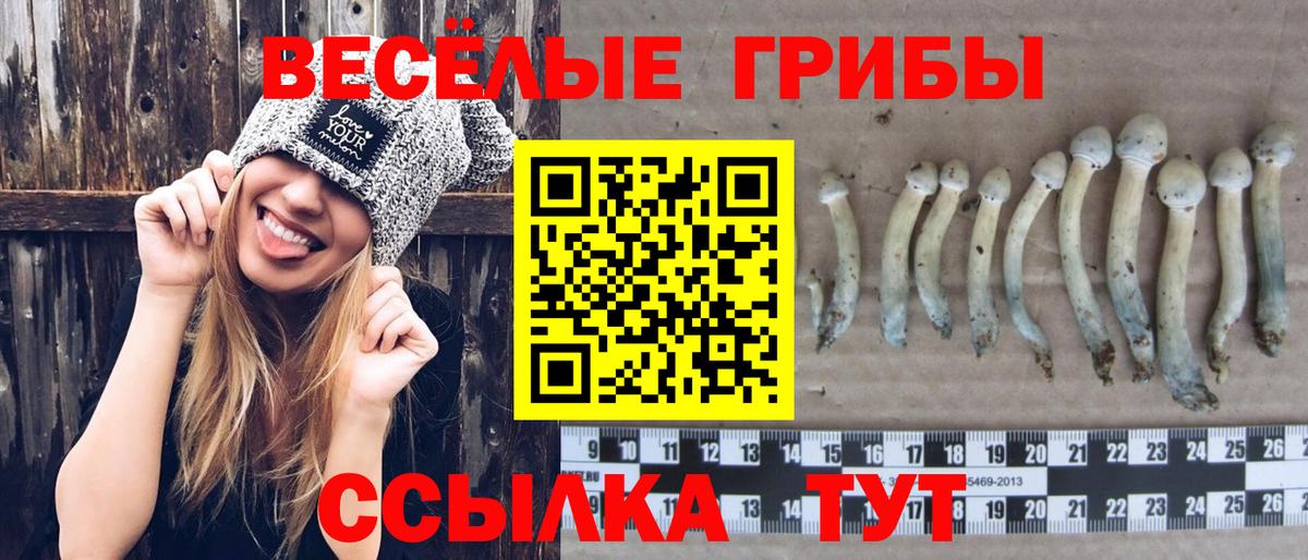 Первоуральск  Галлюциногенные грибы мухоморы  Вход с VPN 