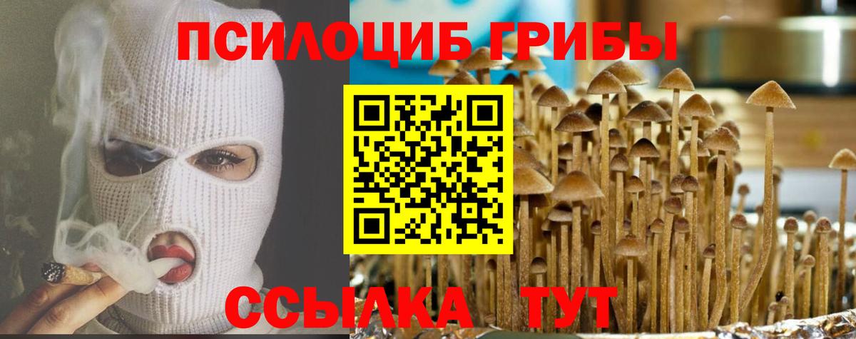 Псилоцибиновые грибы Magic Shrooms Первоуральск